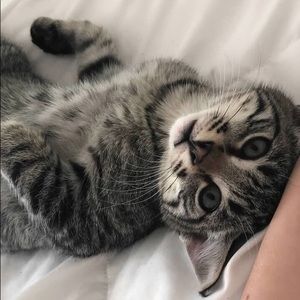 Meet your Posher, Mckenzie